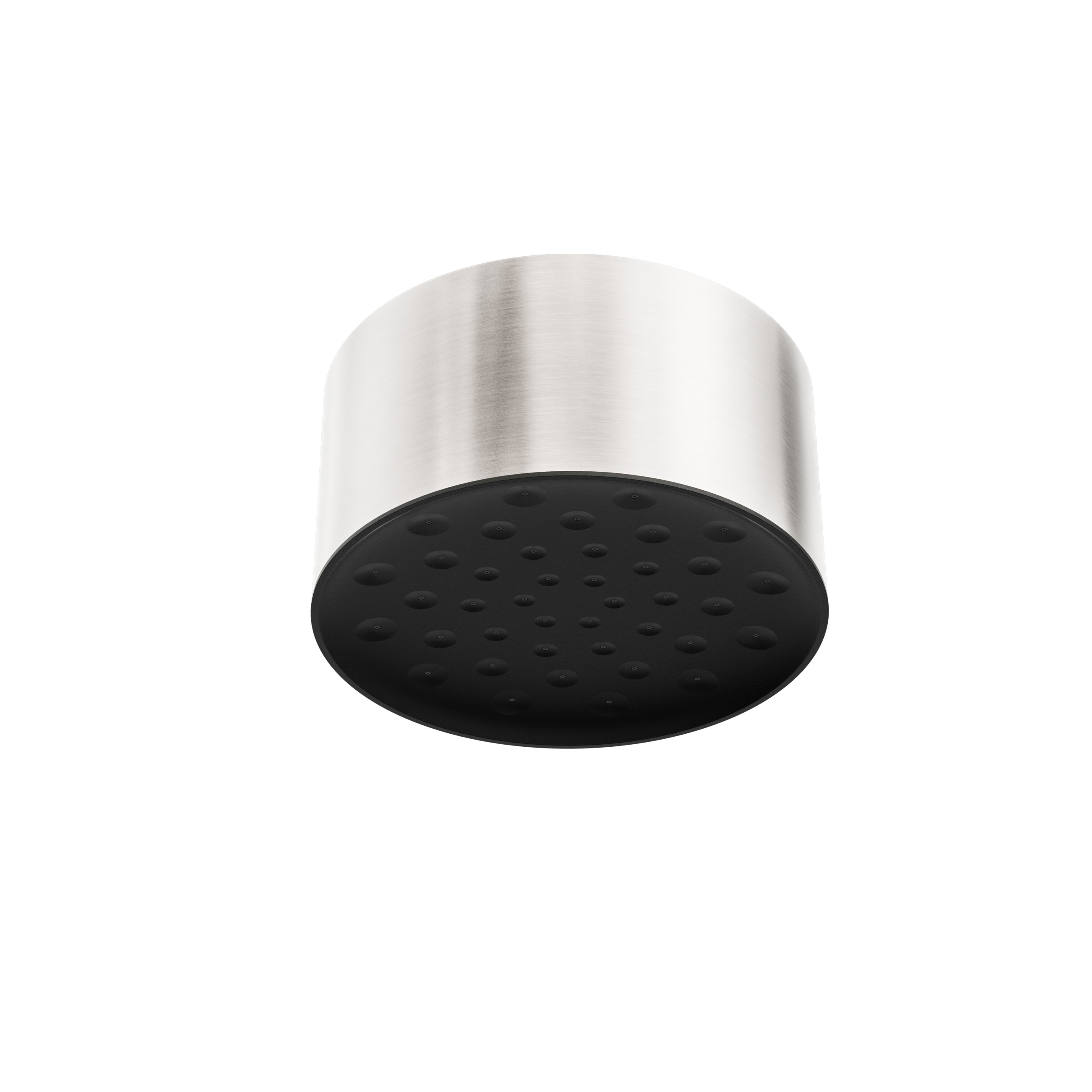 Serenity Ceiling Shower Head Brushed Nickel