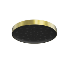 Serenity Wall Shower Head Brushed Gold