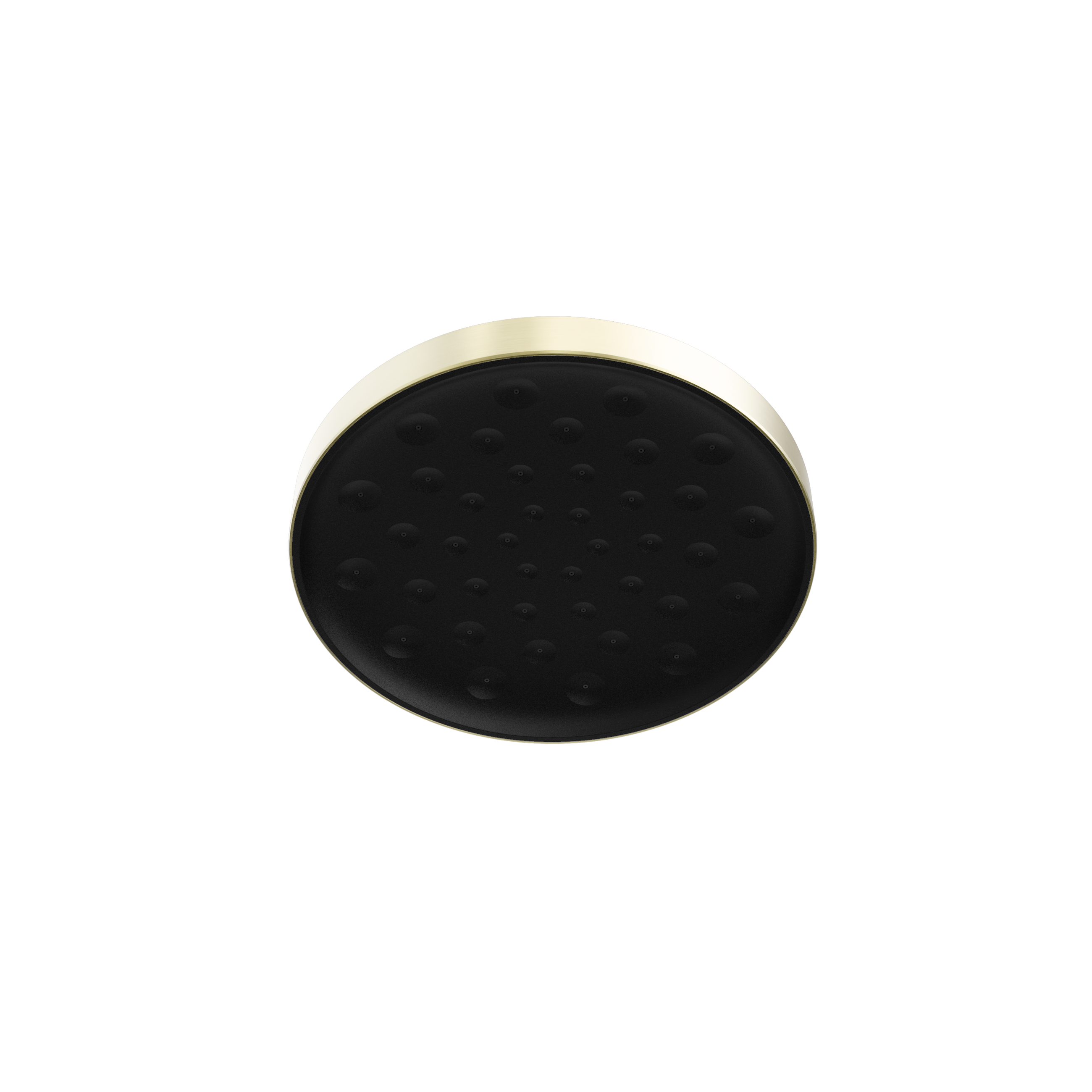 Serenity Shower Head Brushed Gold