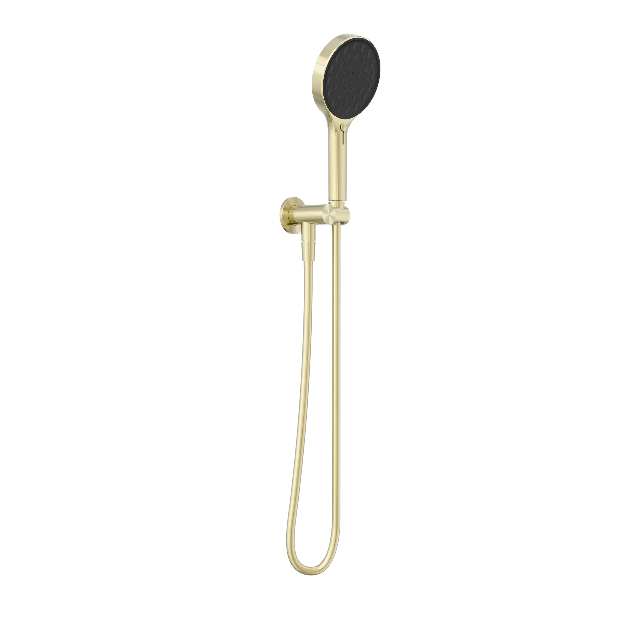 Serenity Hand Held Shower Brushed Gold