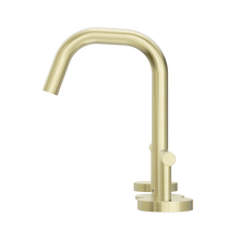 Mecca Lever Basin Set Edge Spout Brushed Gold