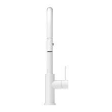 Mecca Pull Out Sink Mixer With Vegie Spray Function Matte White