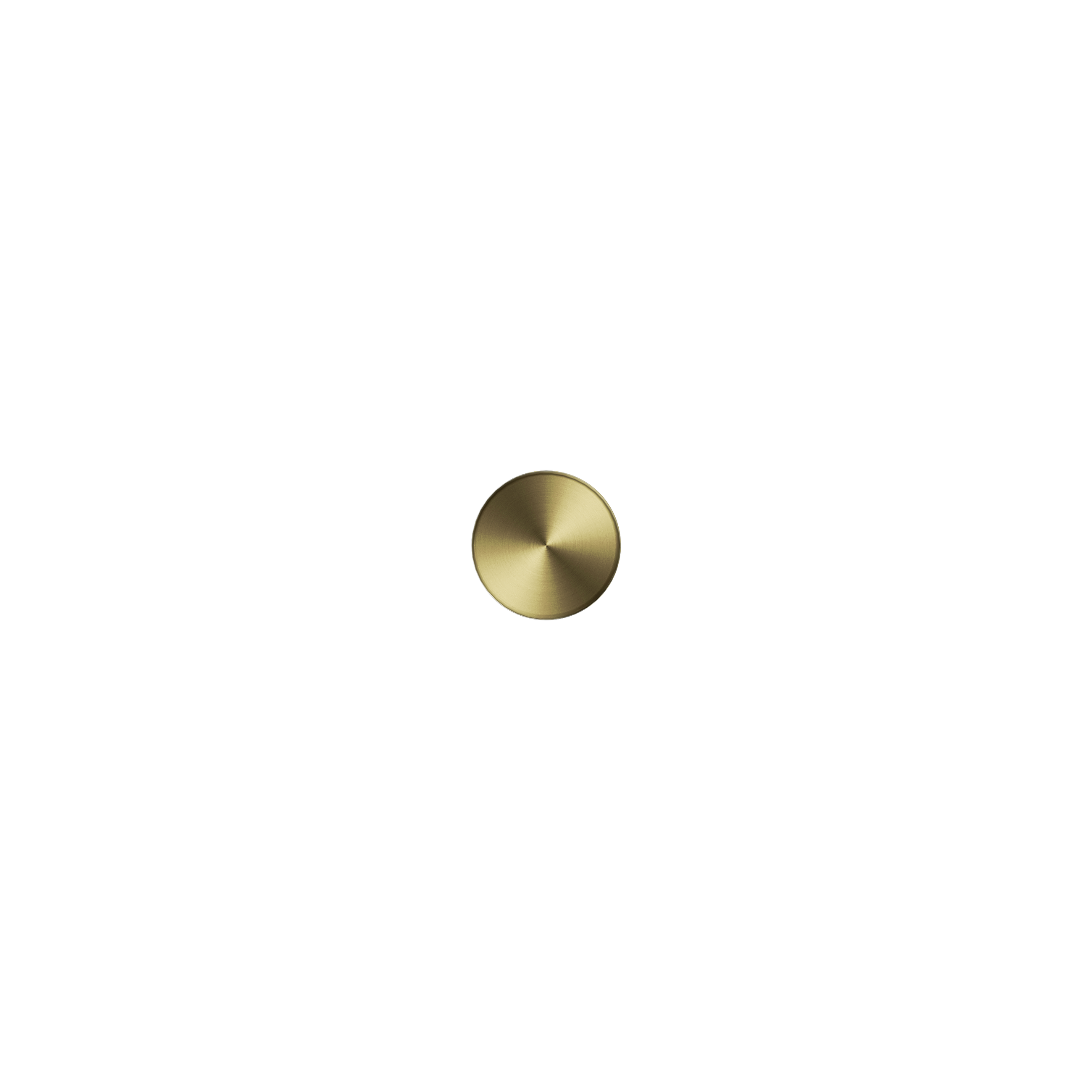New Mecca Robe Hook Brushed Gold