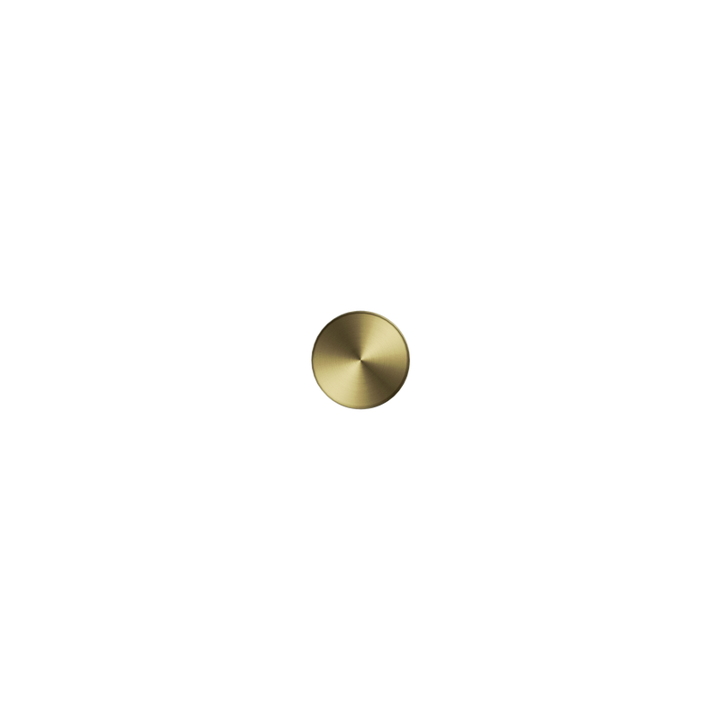 New Mecca Robe Hook Brushed Gold