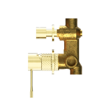 Opal Shower Mixer With Diverter Separate Plate Brushed Gold