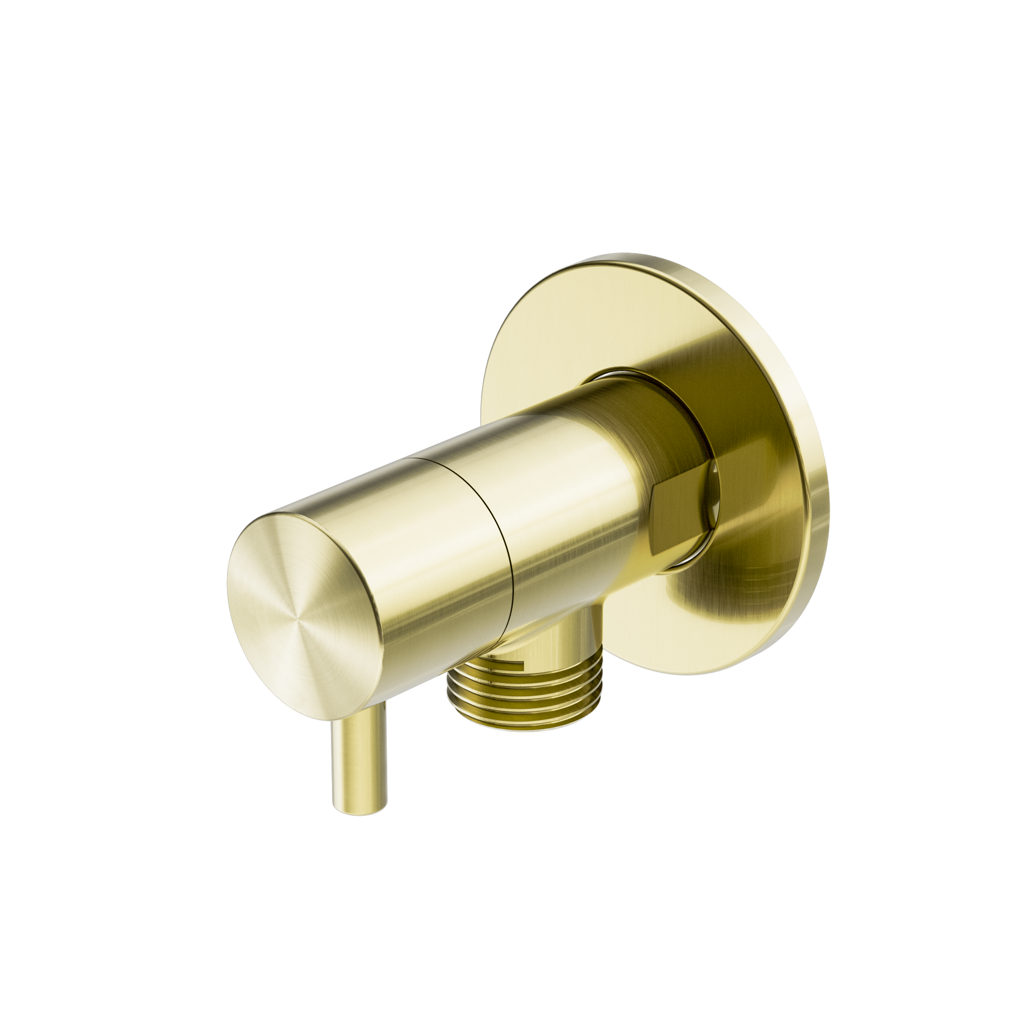 Mini Cistern Stop Brushed Gold