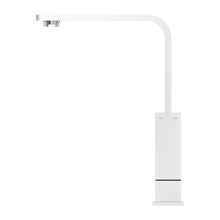 Celia Kitchen Mixer Builders Range Chrome