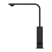Celia Kitchen Mixer Builders Range Matte Black
