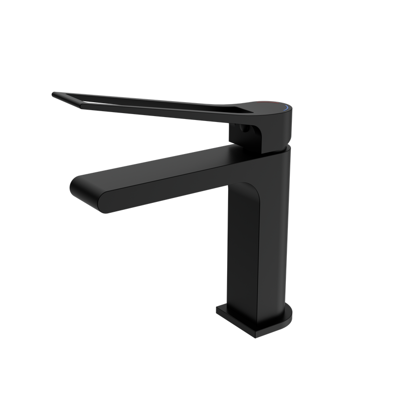 Bianca Care Basin Mixer Matte Black