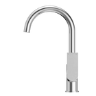 Bianca Kitchen Mixer Gooseneck Spout Chrome