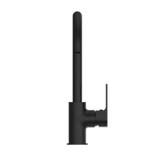 Bianca Kitchen Mixer Gooseneck Spout Matte Black