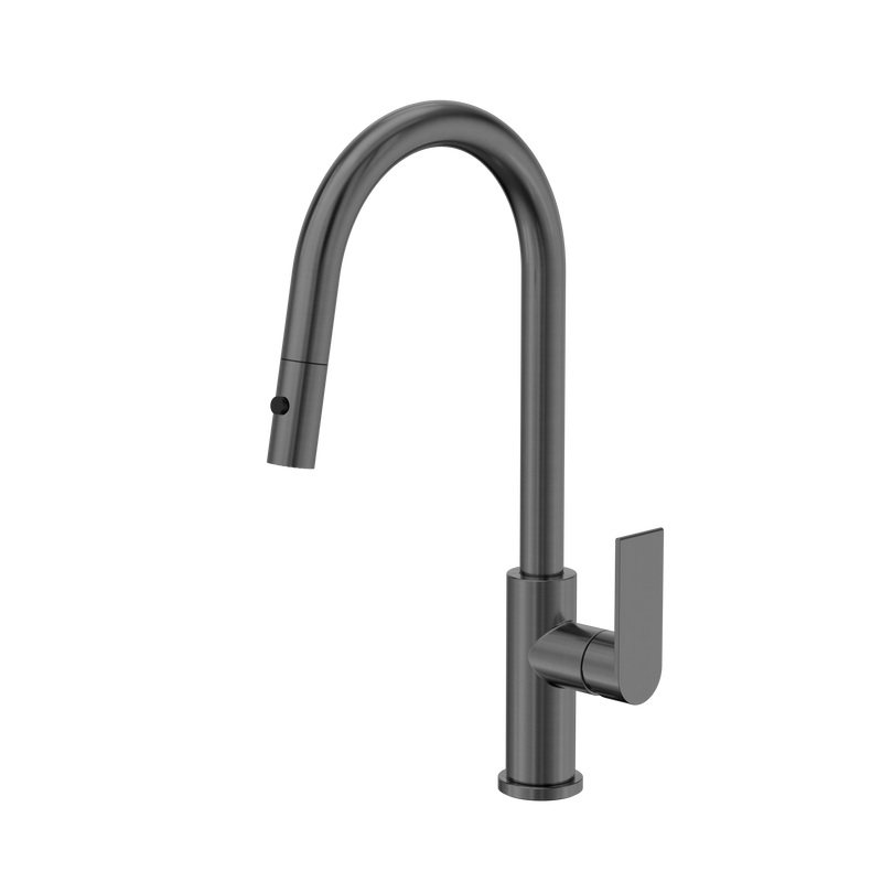 Bianca Pull Out Sink Mixer With Vegie Spray Function Gun Metal