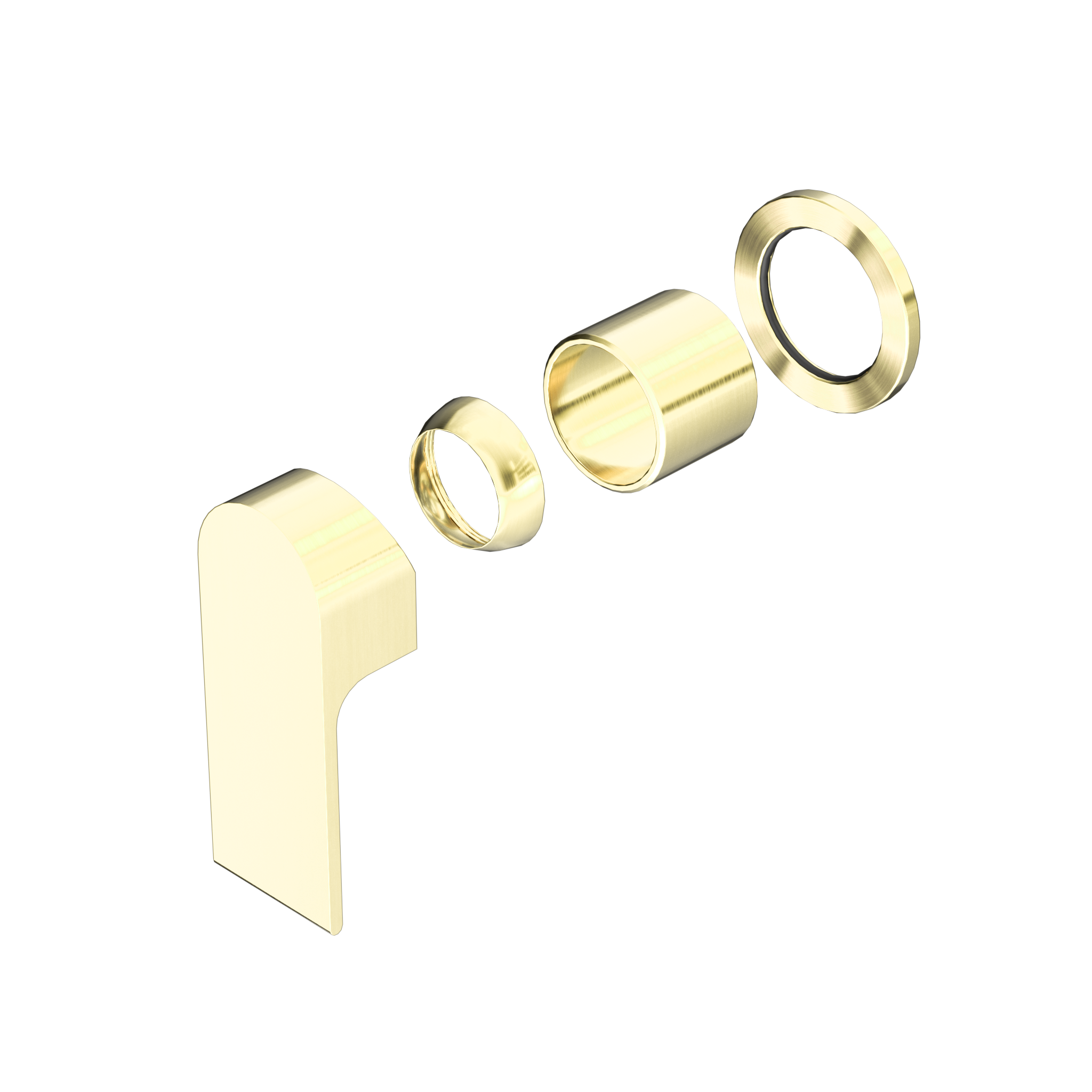 Bianca Shower Mixer 60mm Plate Trim Kits Only Brushed Gold