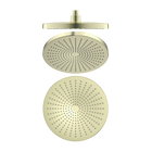 Opal 250mm Shower Head Brushed Gold