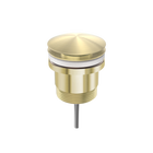 Universal Pop Up Waste Brushed Gold