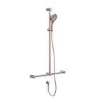 Mecca Care 32mm T Bar Grab Rail And Adjustable Shower Set 1100X750mm Brushed Bronze